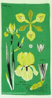 Iris, Green